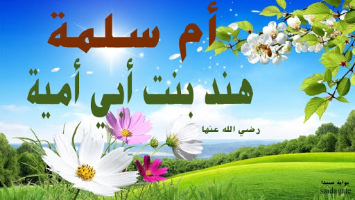 أم سلمة