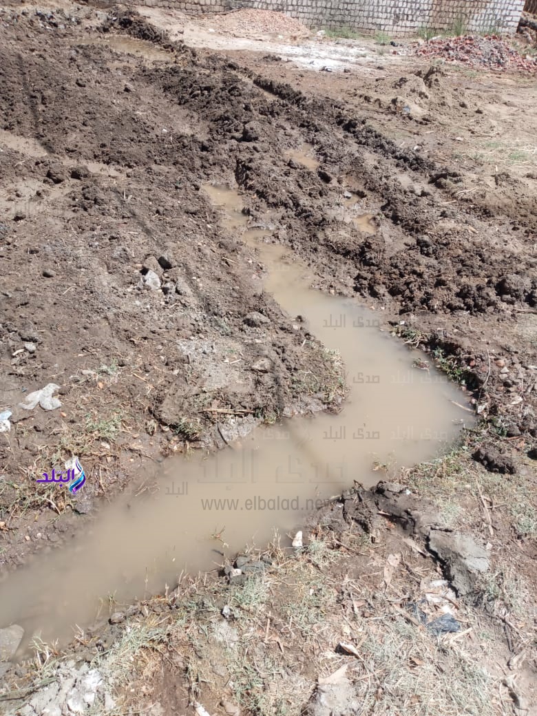 زراعة الأرض مرة أخرى