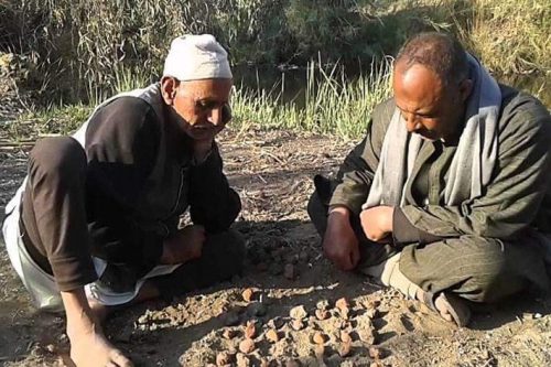 لعبة السيجا 