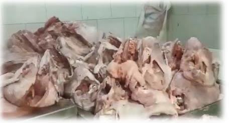 احباط ترويج ٣ طن أغذية فاسدة بالسلام