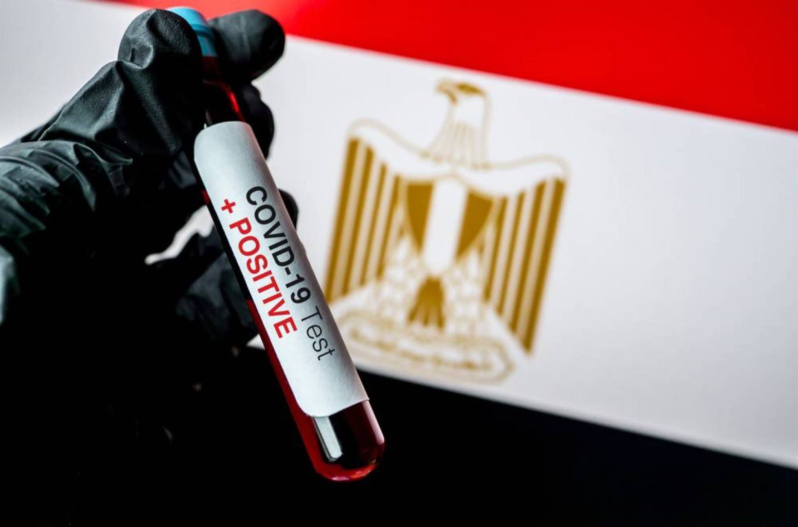 كورونا 