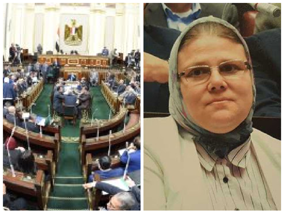 النائبة شيرين فراج