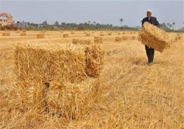 تموين الاقصر