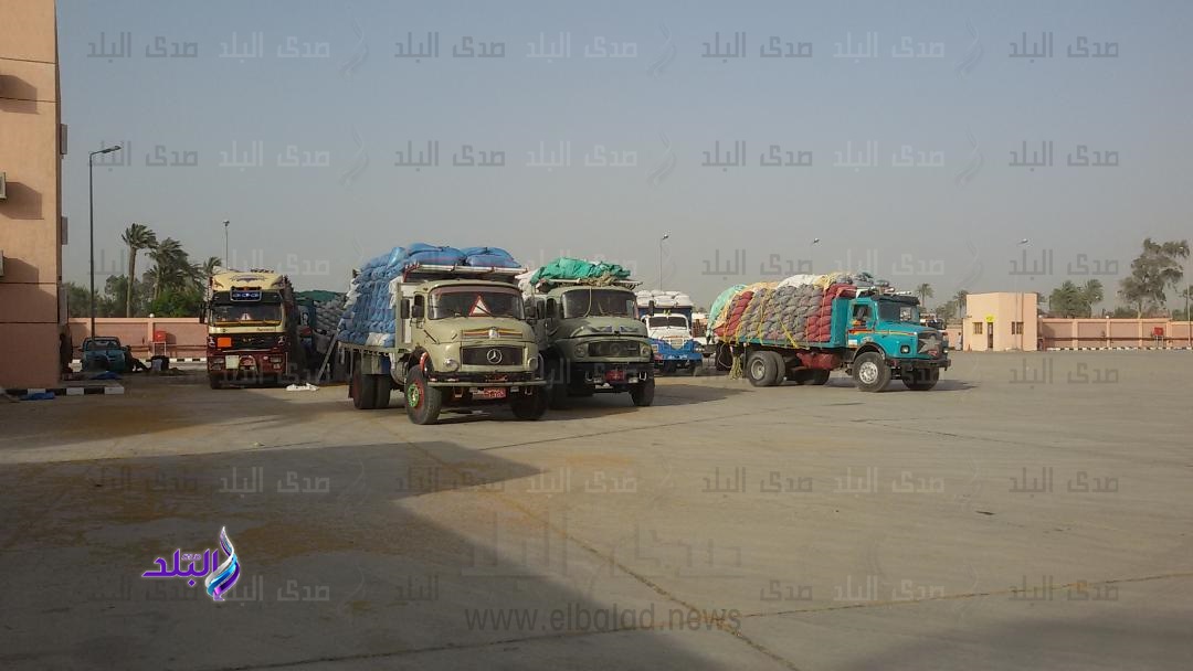 توريد قمح