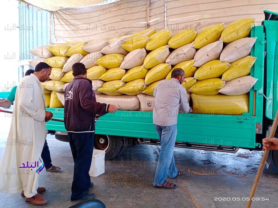 توريد القمح