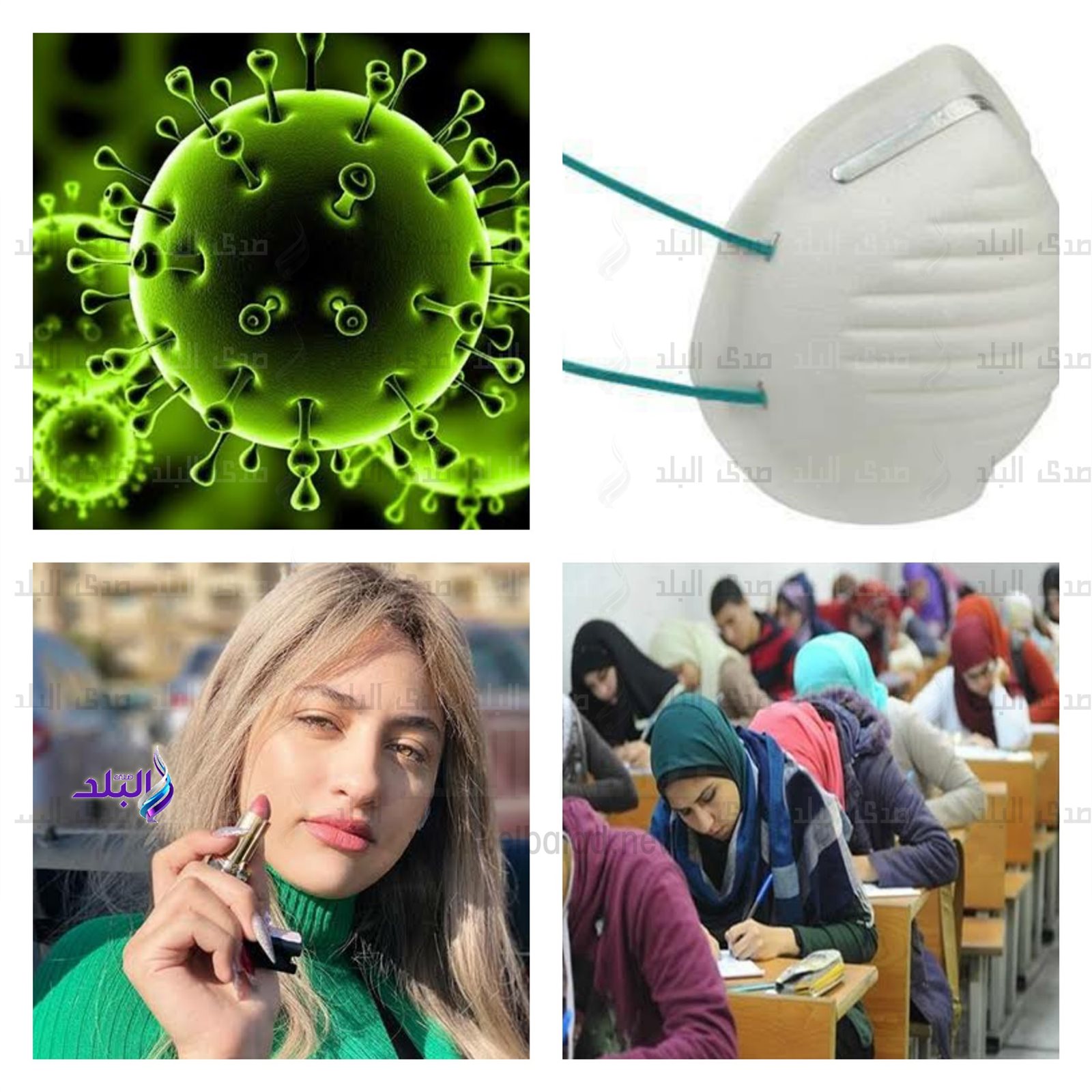 اهم الاخبار