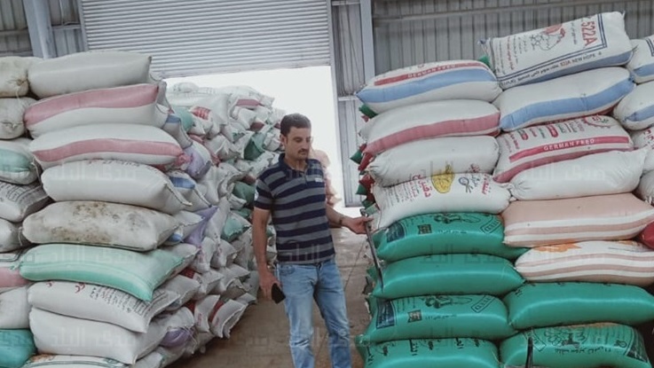 توريد القمح