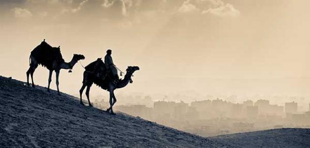 عثمان بن عفان.. تعرف على أبرز أعماله التي جعله من المبشرين..
