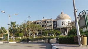 جامعة الفيوم