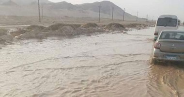 السيول 