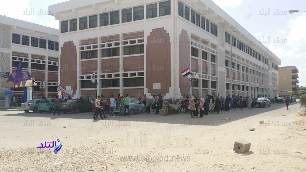 جامعة العريش