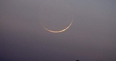 ارشيفية