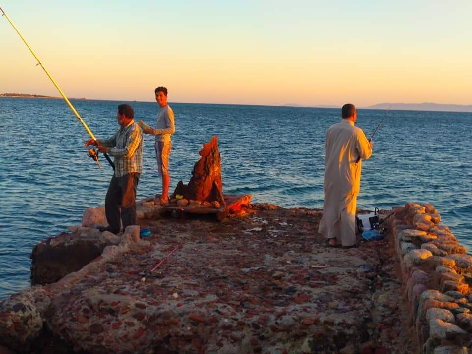 لسان البحر بطور سيناء