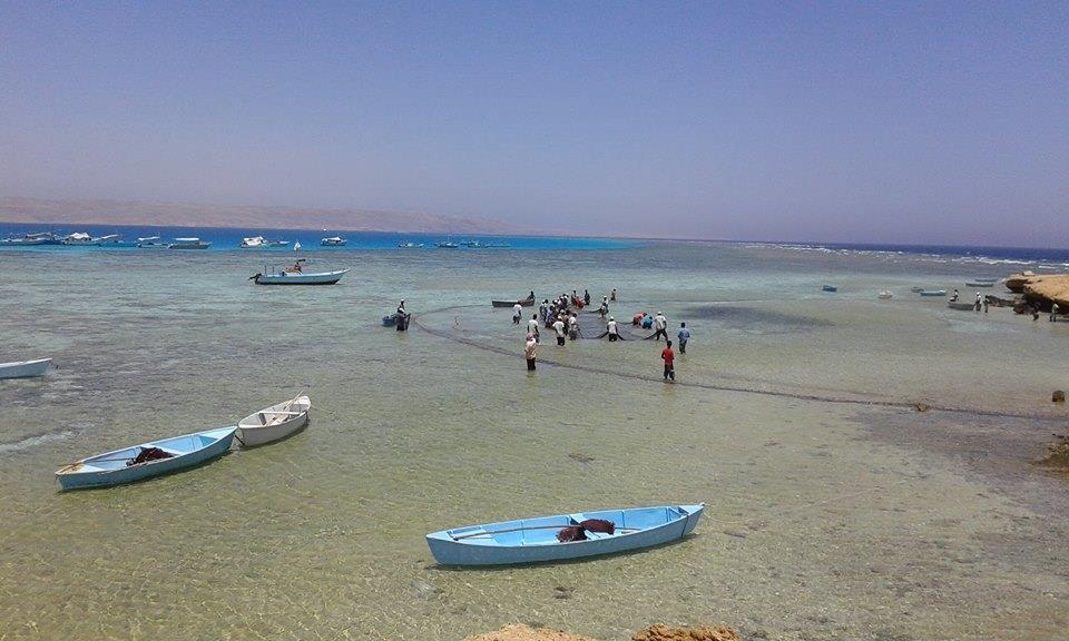 صيد السمك في البحر الاحمر 