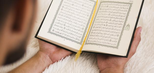 هل نقوم ليلة القدر كاملة أم يكفي قيام بعضها؟