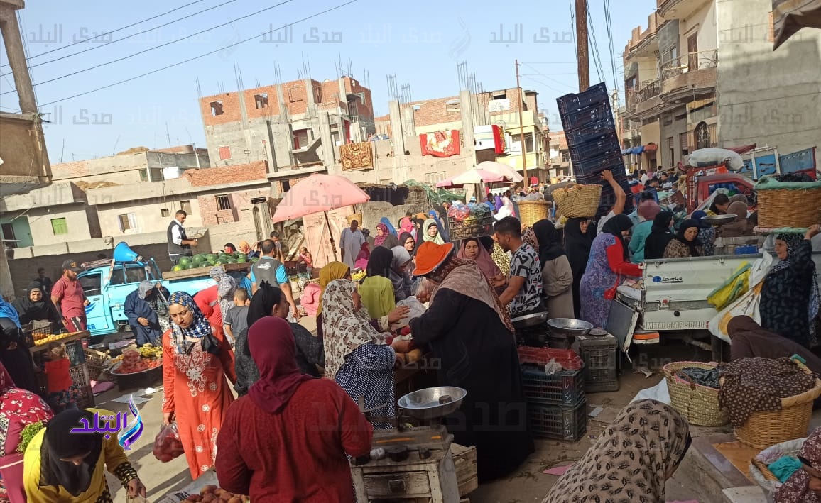 عزبة أبوخطوة 