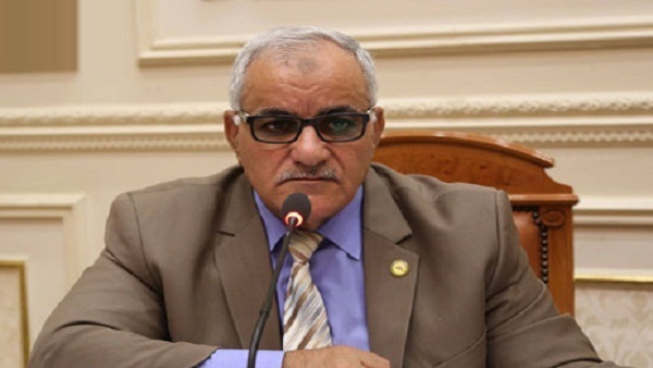 النائب ممدوح الحسيني