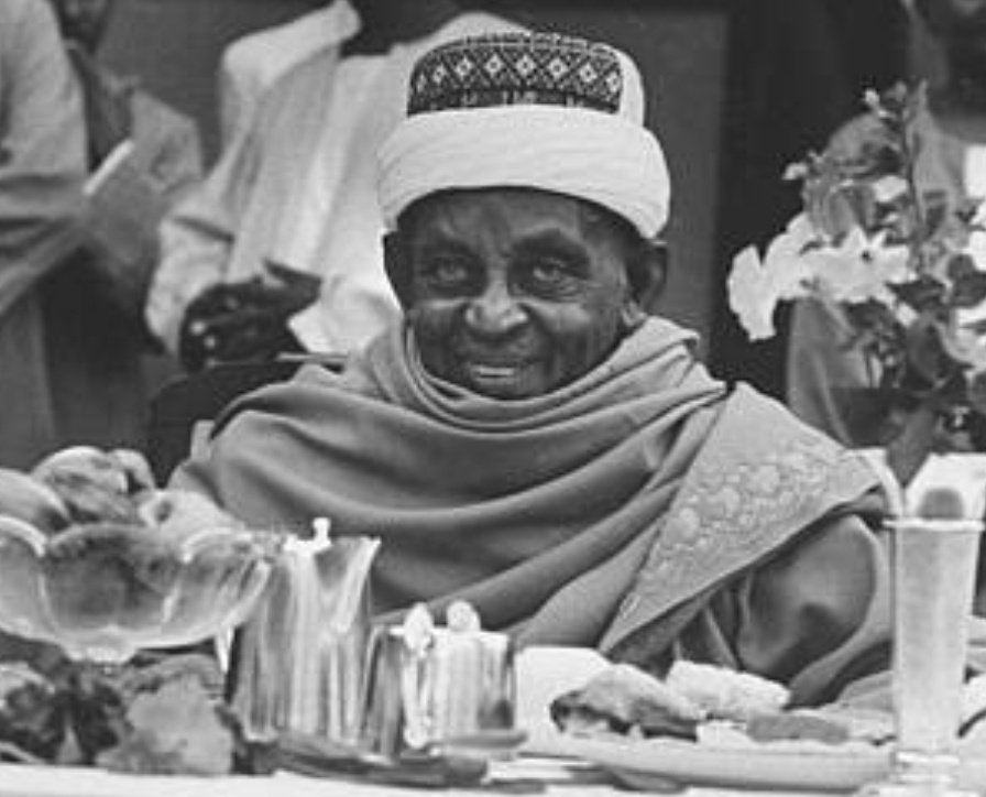  السيد الميرغني