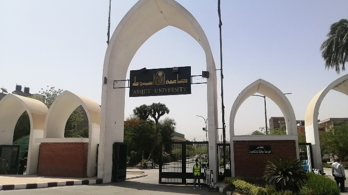 جامعة اسيوط