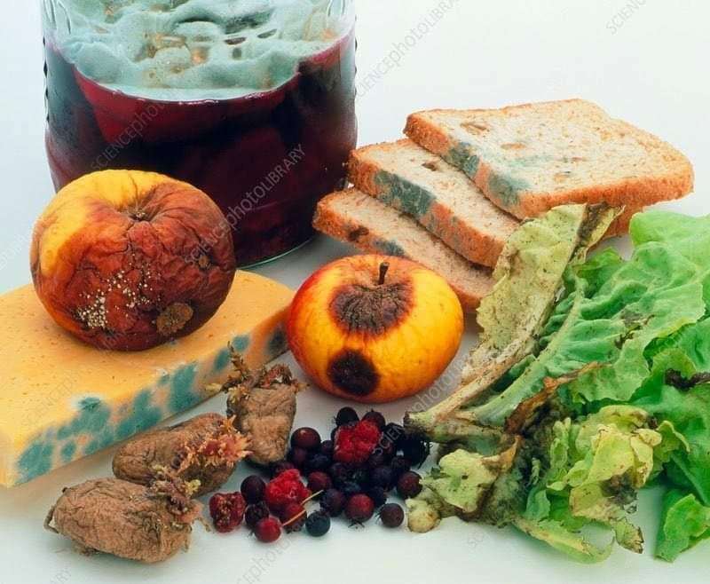 فساد الطعام فساد الطعام