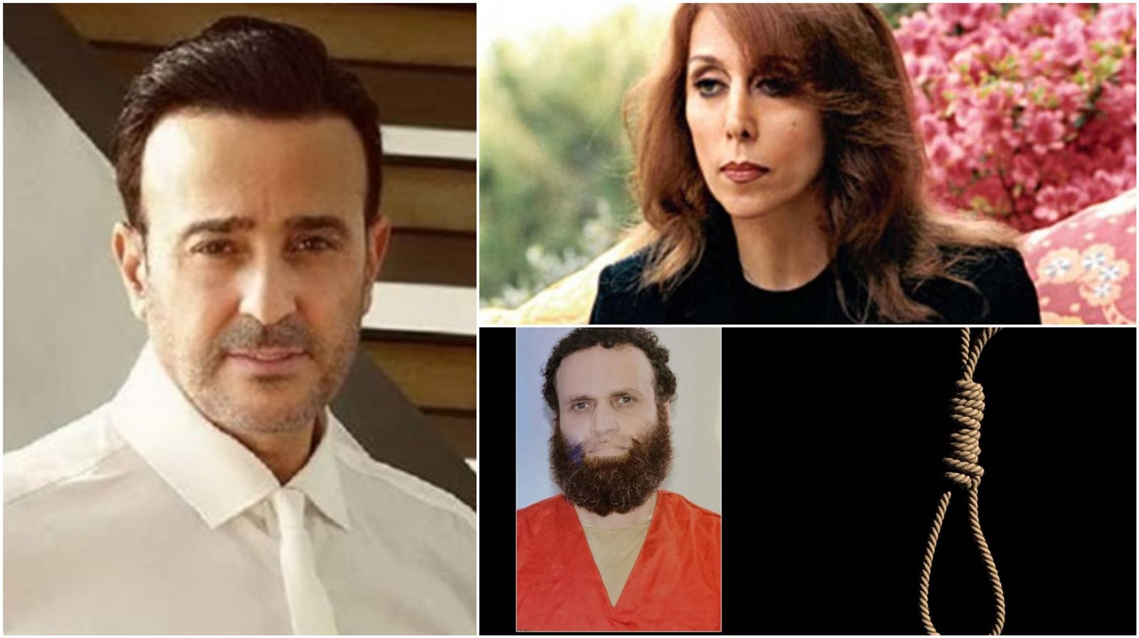 أخبار الفن