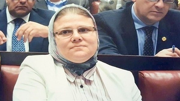 النائبة شيرين فراج عضو مجلس النواب