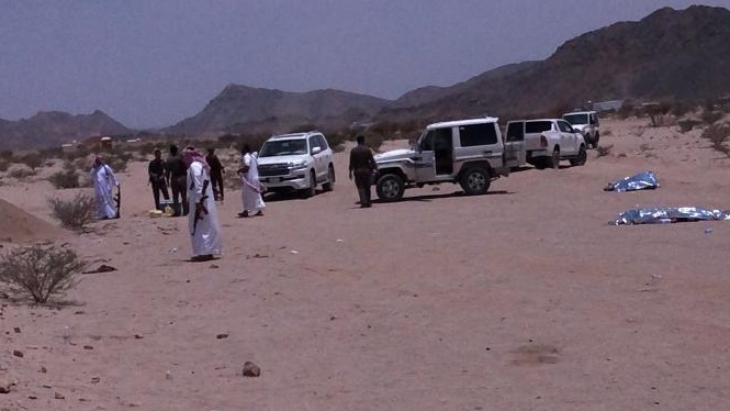صورة متداولة