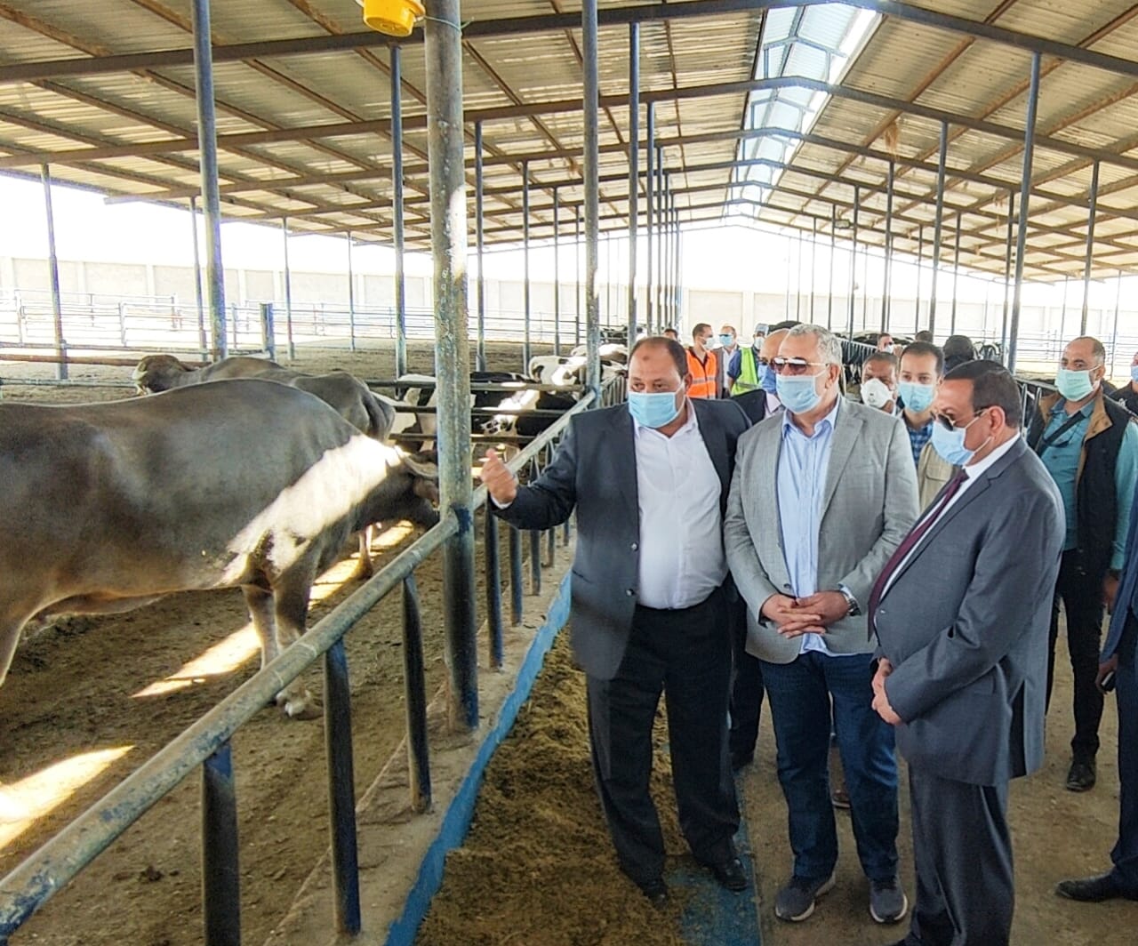 وزير الزراعة ومحافظ البحيرة
