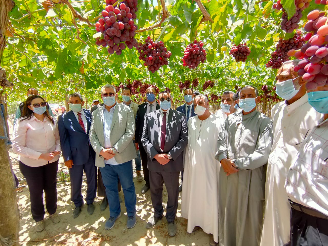وزير الزراعة
