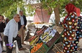 منافذ ثابته لبيع منتجات الصوب الزراعية