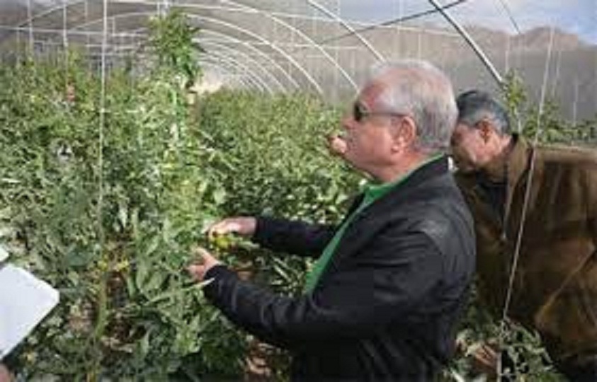 مشروع التنمية المتكاملة 