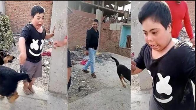 تعذيب طفل من ذوى الإعاقة بكلب شرس