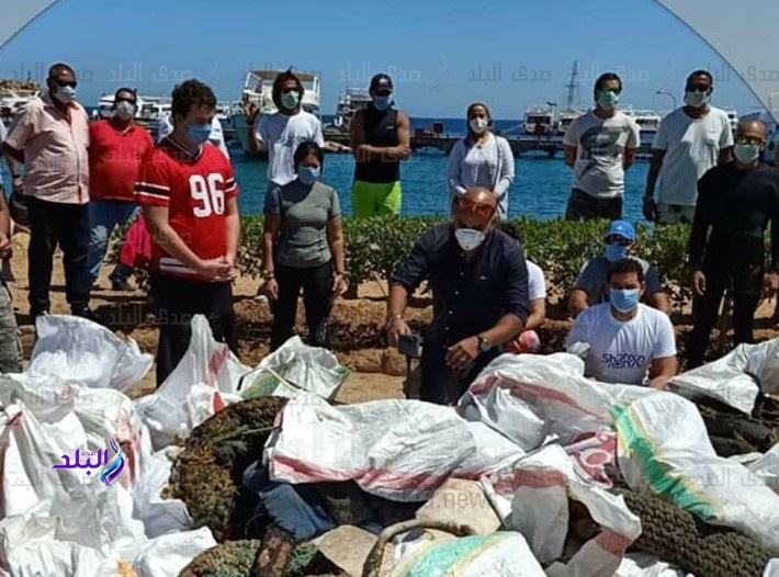 انطلاق مبادرة The clean blue بمدينة شرم الشيخ 