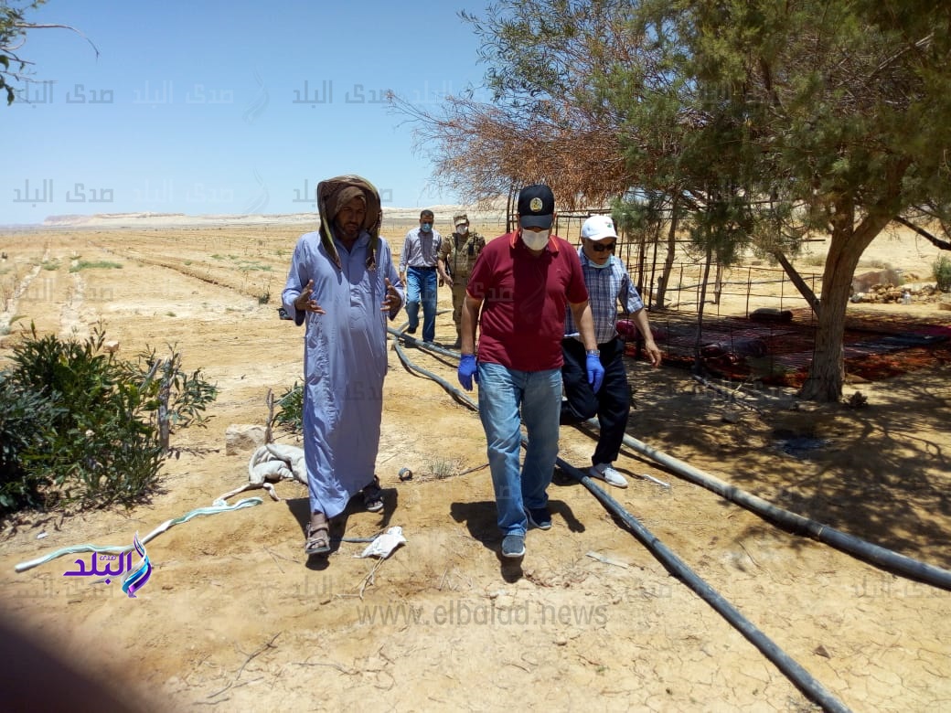 اللواء الدكتور محمد عبد الفضيل شوشة محافظ شمال سيناء