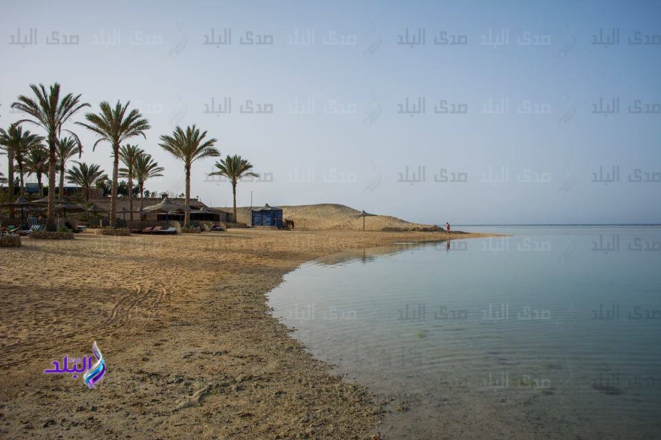 مدينة مرسى علم