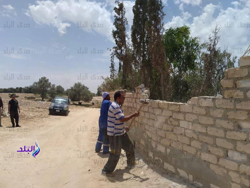 إزالة تعديات على أراضي الآثار والسكة الحديد بالإسكندرية