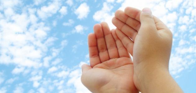 دعاء لتقوية الإرادة.. كلمات علمها النبي لأصحابه