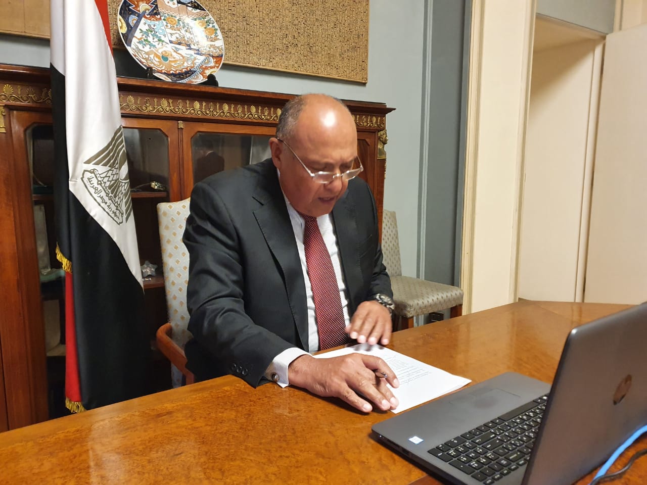 وزير الخارجية سامح شكري