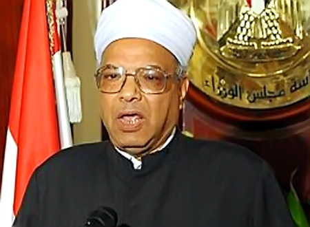 د. محمد عبد الفضيل القوصي 