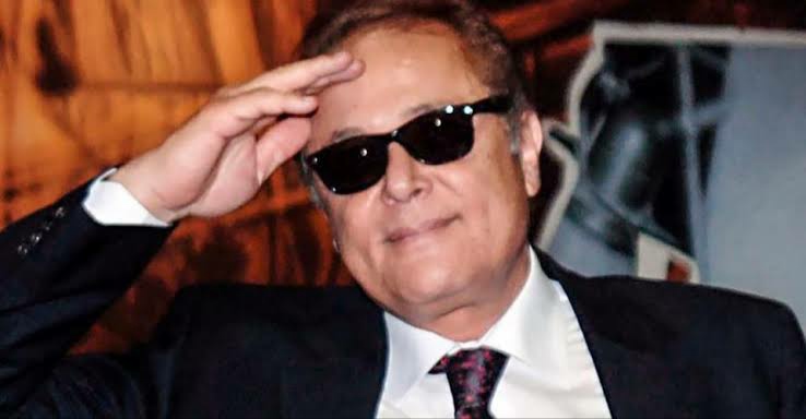 محمود عبد العزيز