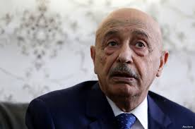 المستشار عقيلة صالح