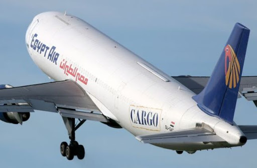 تخفيض 50% على تذاكر الطيران للحالات الحرجة بالوادي الجديد