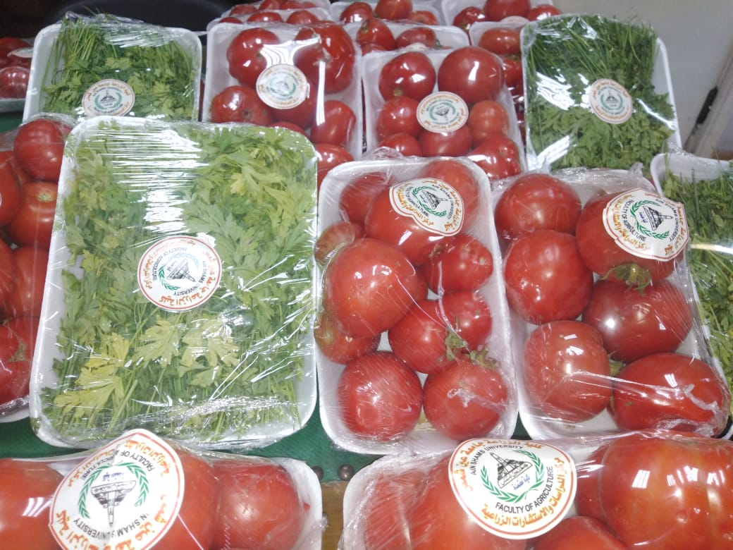خظروات من زراعة عين شمس 
