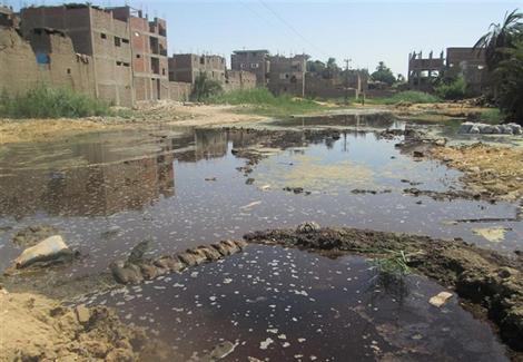المستنقعات