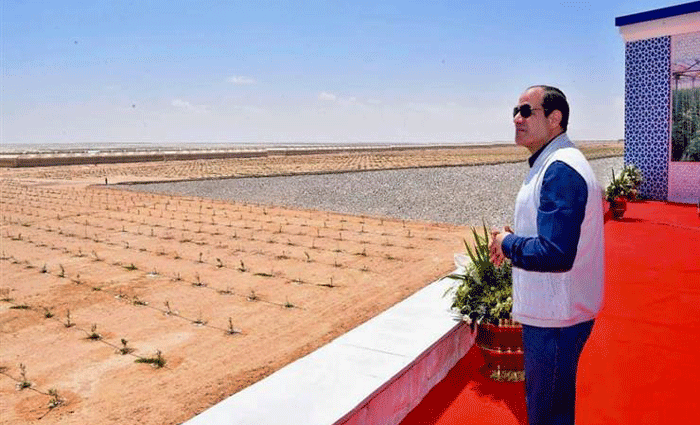 الرئيس عبد الفتاح السيسى