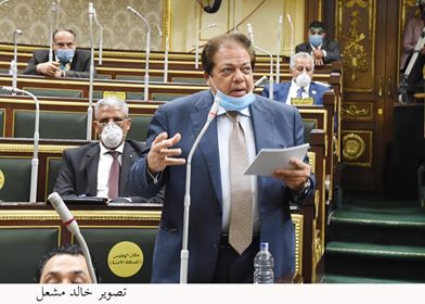 النائب محمد أبو العينين