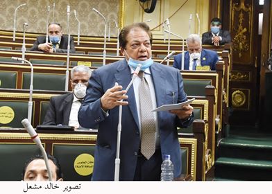 النائب محمد أبو العينين