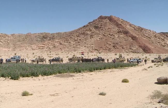 ارشيفية