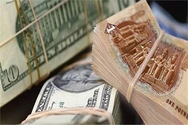 سعر الدولار اليوم 