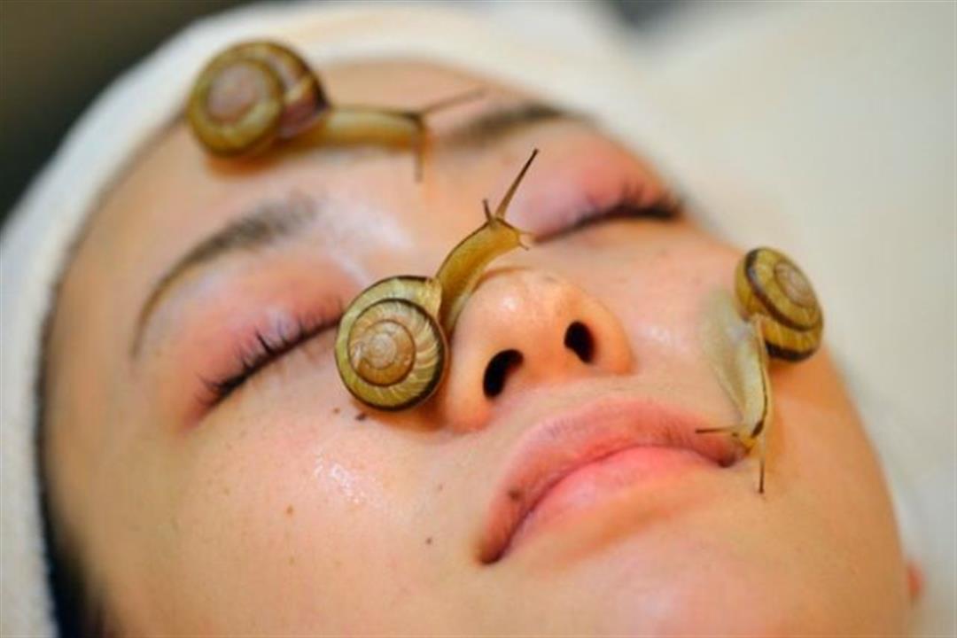 استخدام الحلزون للبشرة